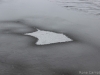 llyn-bran-denbigh-moor-stingray - Elevation Finished - Fine Art Photography by Rona Campbell