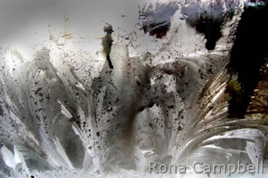 Ice Crystals on glass by Rona Campbell 