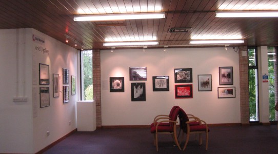 Ice Dance Photographs in Oriel Wrecsam, by Rona Campbell 13.9.2012