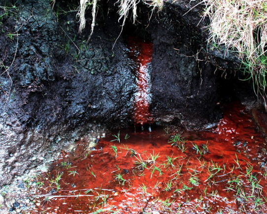 Eye-Spy Liquid Iron Ore pouring out through black peat bank. Llyn Brenig, North Wales