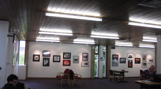 Oriel Wrecsam, Ice Dance Exhibition of Rona Campbell’s Photography